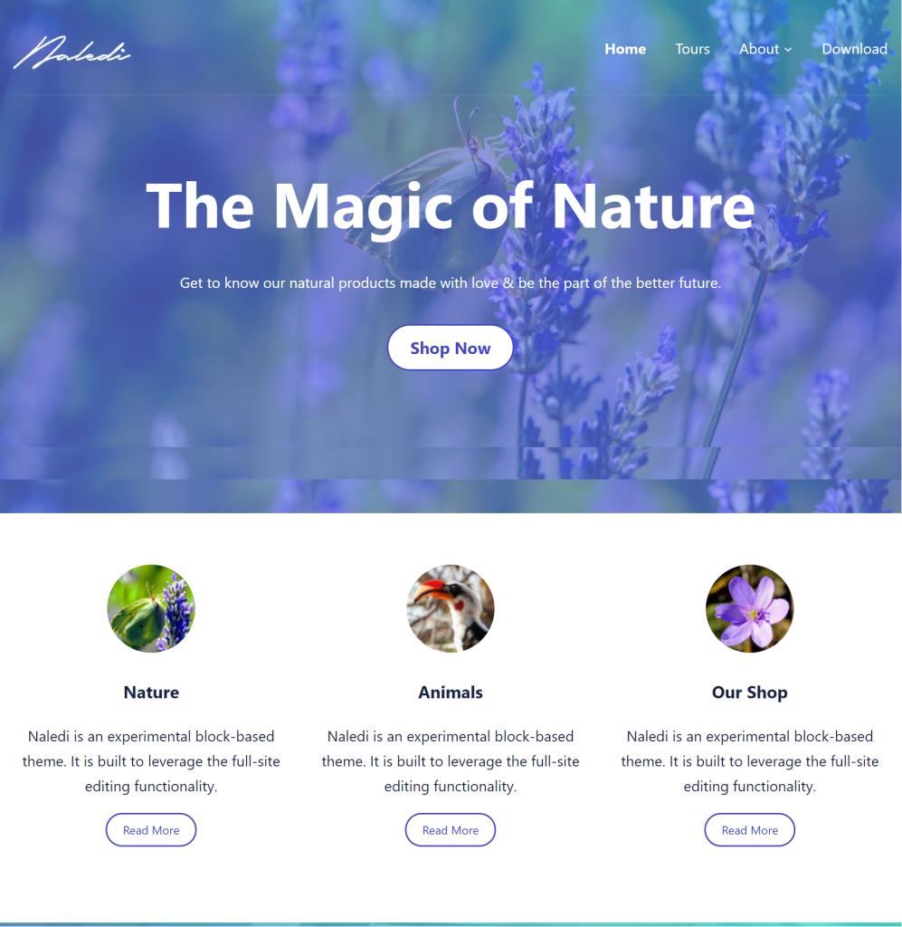 10 Best Full site editing wordpress themes Naledi